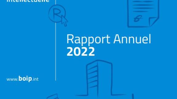 Cover van BOIP jaarverslag 2022