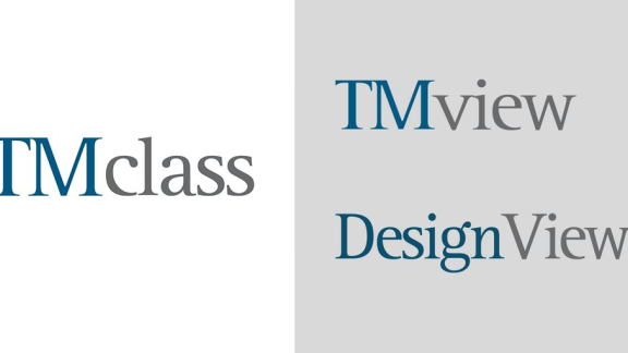 TMclass TMview Designview