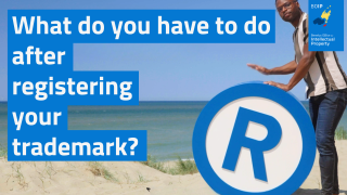 Man on beach and text: What do you have to do after registering your trademark?